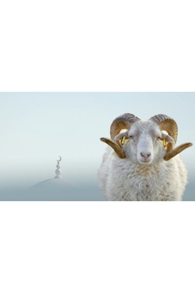 İlim Bilgilendirme Semineri Video Hizmeti