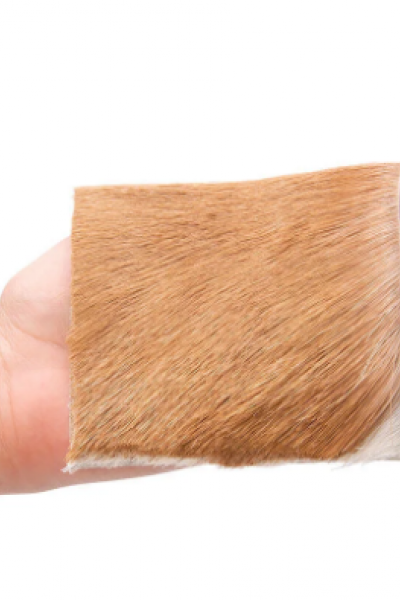 Hakiki Tüylü Ceylan Derisi Parça 10x10 Cm Tılsım, Vefk Yazımı için Hakiki Tüylü Ceylan Derisi Parça 10x10 Cm Tılsım, Vefk Yazımı için