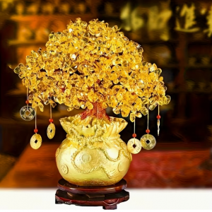 Para Ağacı 7 Parça Doğal Sarı Şans Bereket Ağacı Seti Biblo