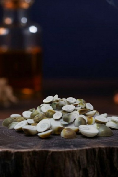 Doğal Yılancık Taşı 4 ADET Doğal Yılancık Taşı 4 ADET