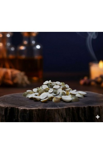 Doğal Yılancık Taşı 4 ADET Doğal Yılancık Taşı 4 ADET