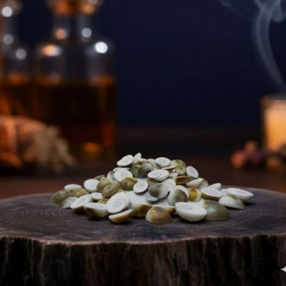 Doğal Yılancık Taşı 4 ADET Doğal Yılancık Taşı 4 ADET